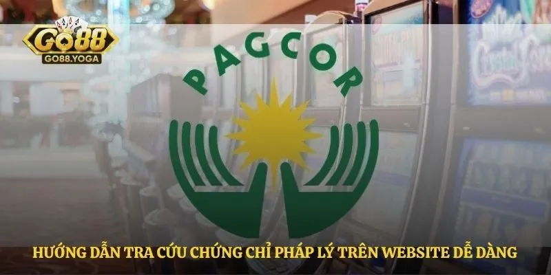 Hướng dẫn tra cứu chứng chỉ pháp lý trên website dễ dàng