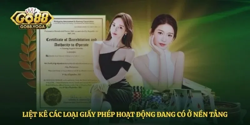 Liệt kê các loại giấy phép hoạt động đang có ở nền tảng