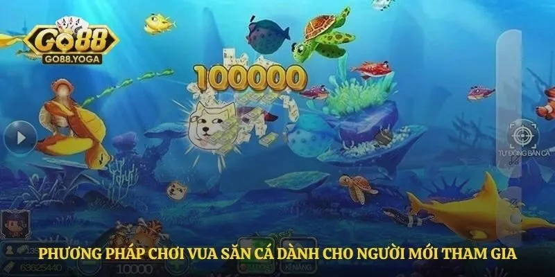 Phương pháp chơi vua săn cá dành cho người mới tham gia